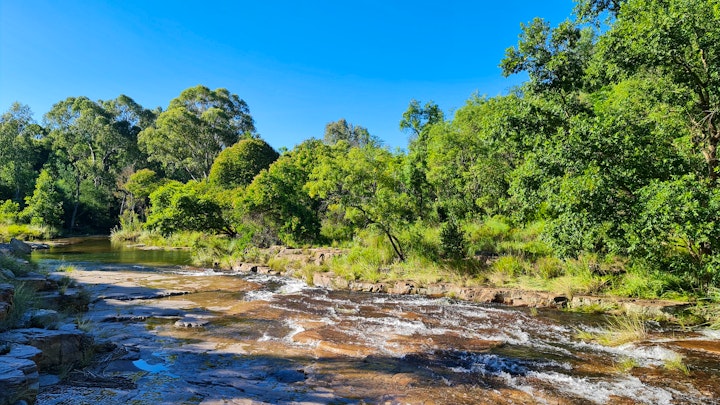 North West Accommodation at Nare Bush Cabin | Viya