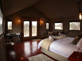 Dinokeng Game Reserve Accommodation at Morekuri Safaris | Viya