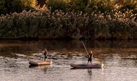 Vioolsdrift Accommodation at Orange River Rafting Lodge | Viya