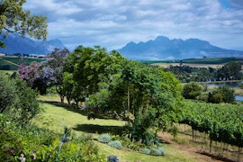 Boland Accommodation at The Devon Valley Hotel | Viya