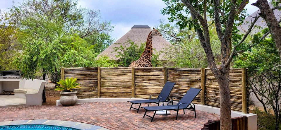 Kruger To Canyons Accommodation at  | Viya