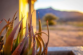 Namaqualand Accommodation at Lucas Family Cottage @ Kamieskroon Cosy Cottages | Viya