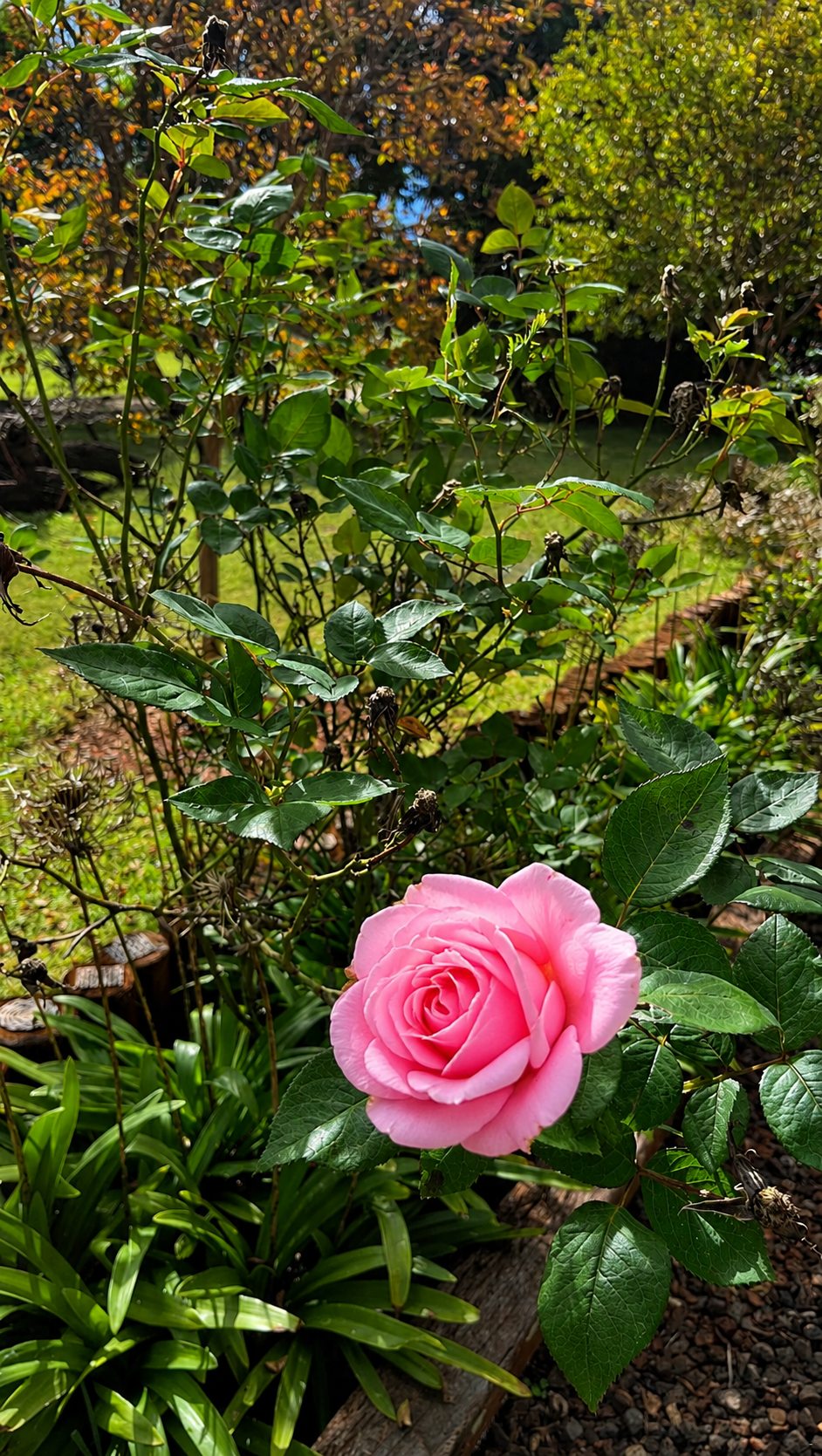 Eastclaire Guest House image no 17 of 17