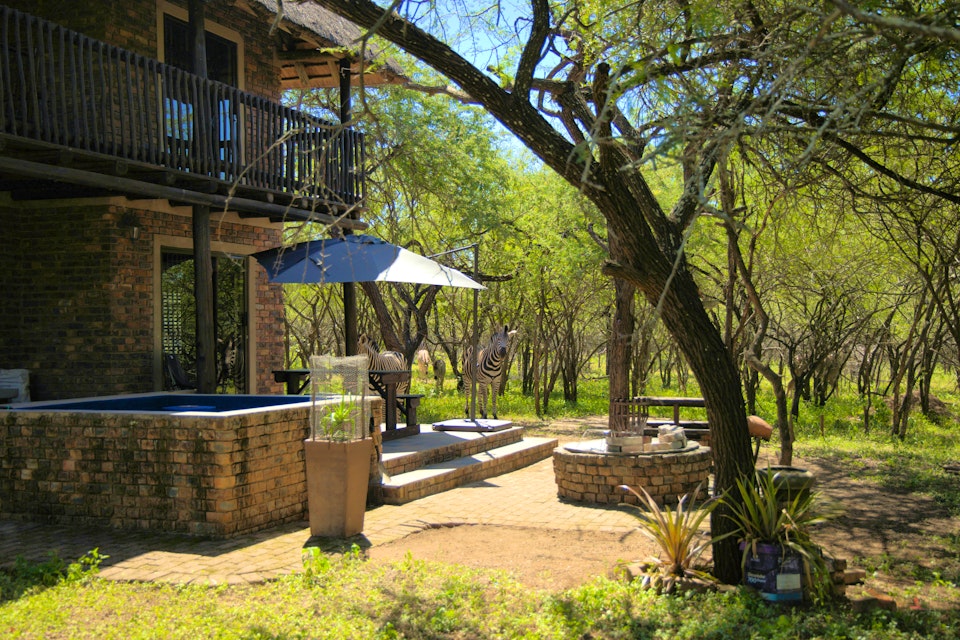 Kruger National Park South Accommodation at  | Viya