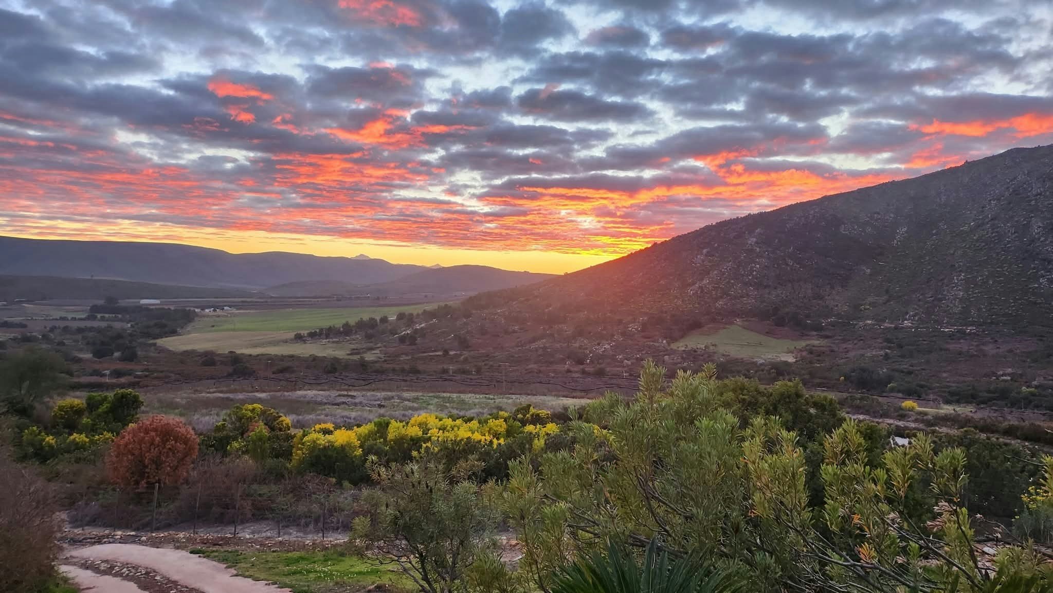 Krakeel Guesthouse @ R62 Langkloof image no 8 of 24