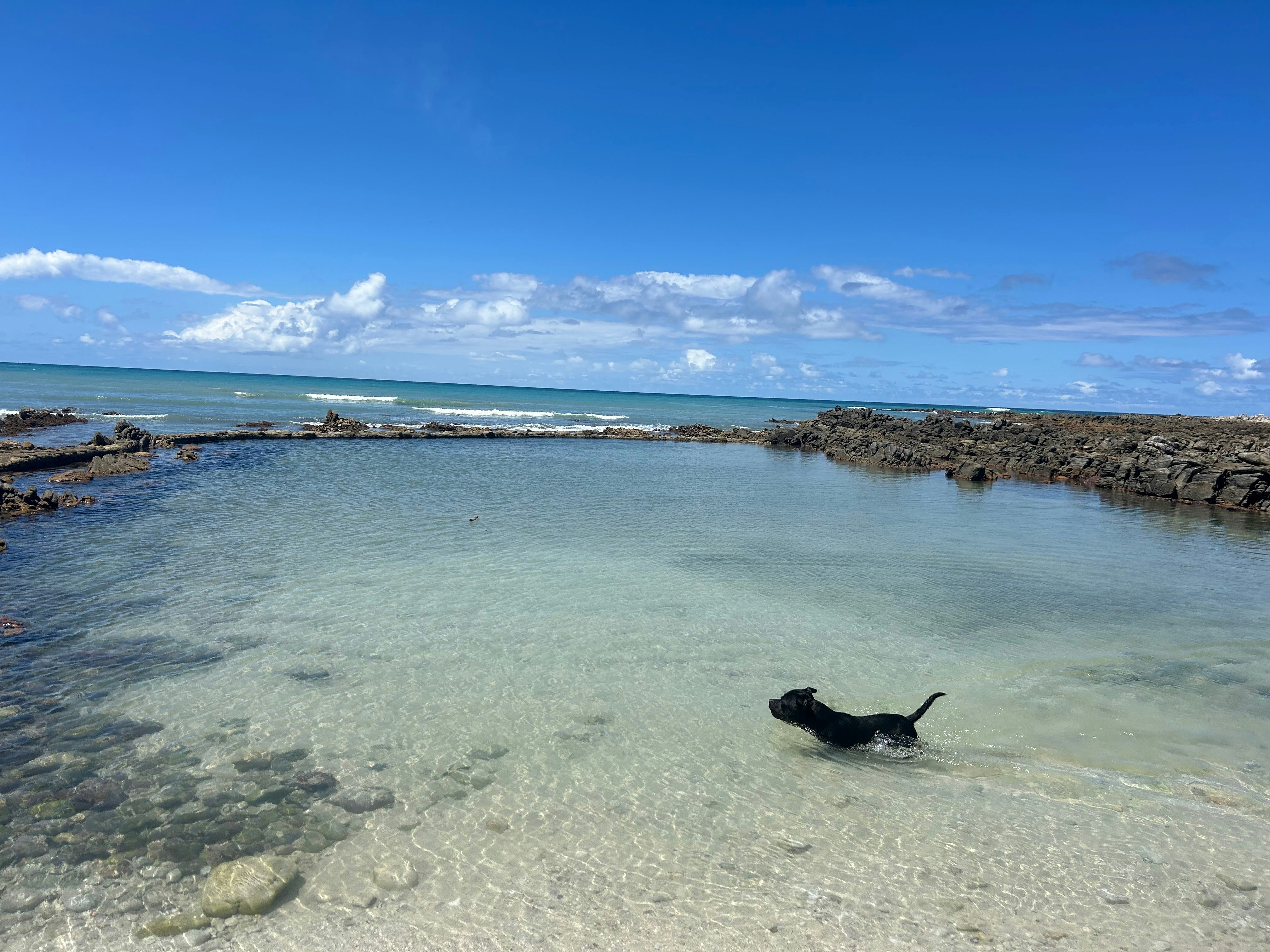 Heaven in Agulhas image no 48 of 65