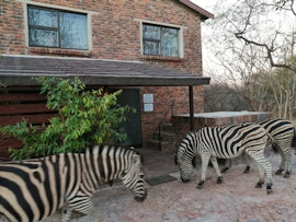 Kruger National Park South Accommodation at  | Viya