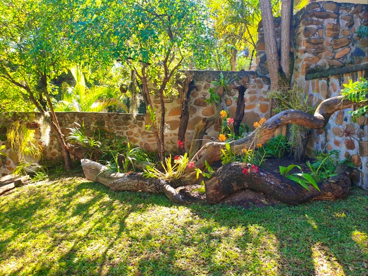 Mpumalanga Accommodation at The Green Lizard Guesthouse | Viya