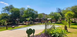 Dinokeng Game Reserve Accommodation at Rocky Hill Guest Farm | Viya