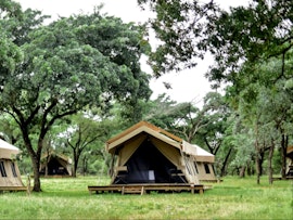 Wild Frontier Accommodation at Unyati Lodge | Viya