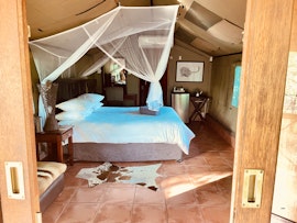 Kruger National Park South Accommodation at  | Viya