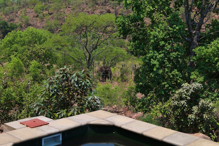 Waterberg Accommodation at Inzalo Safari Lodge | Viya