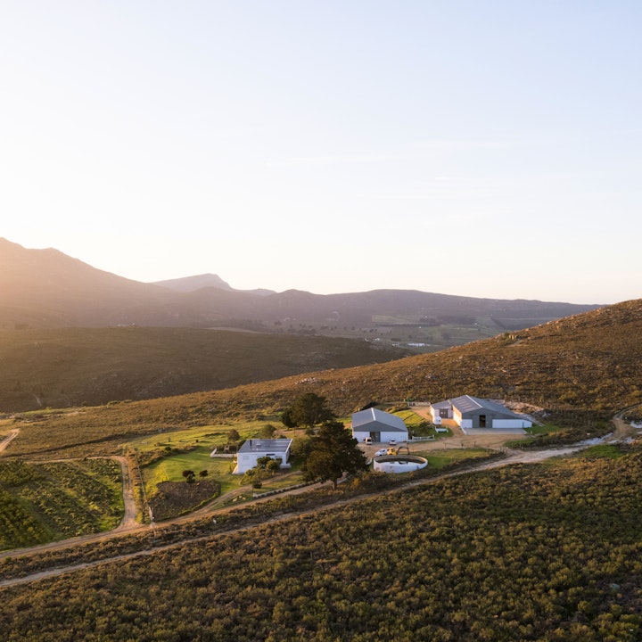 Western Cape Accommodation at Bosman Hermanus Cottage | Viya