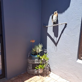 Struisbaai Accommodation at  | Viya