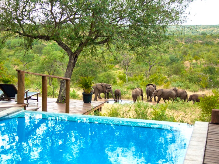 Limpopo Accommodation at Casart Game Lodge | Viya