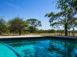 Dinokeng Game Reserve Accommodation at Chameleon Bush Lodge | Viya