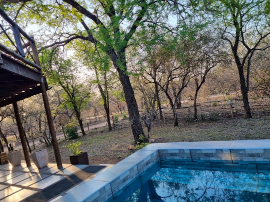 Kruger National Park South Accommodation at  | Viya