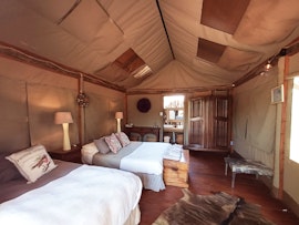 Dinokeng Game Reserve Accommodation at  | Viya