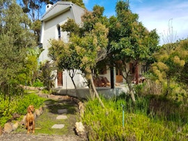 Overberg Accommodation at Hemel en Aarde Cottages | Viya