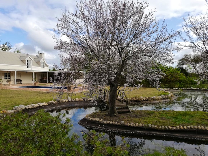 Western Cape Accommodation at Les Terres Noires | Viya