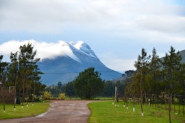 Stellenbosch Accommodation at Bestuis Cottages | Viya