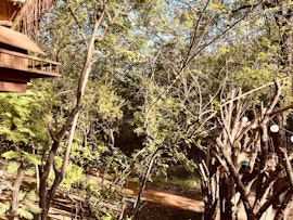 Kruger National Park South Accommodation at  | Viya