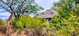 Kruger To Canyons Accommodation at  | Viya