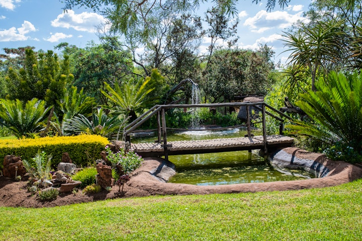 Limpopo Accommodation at Buffalo Ranch Game Lodge | Viya