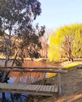 Clarens Accommodation at Rosinasdal Gaste Plaas | Viya