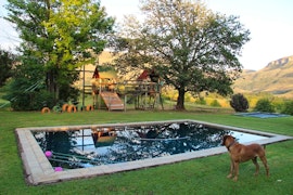 KwaZulu-Natal Accommodation at Silver Hill Lodge Campsites | Viya