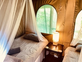 Kruger National Park South Accommodation at  | Viya