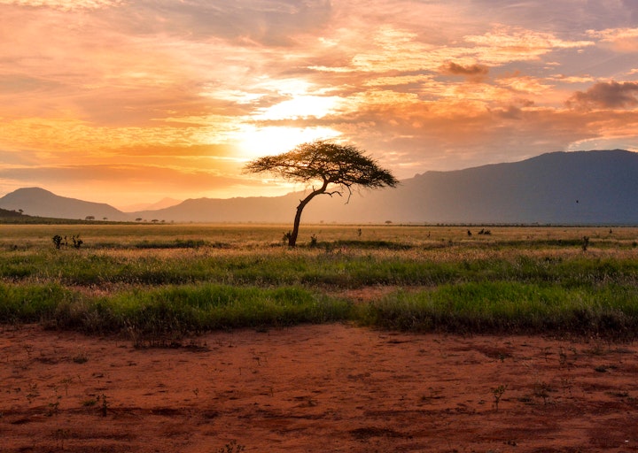 North West Accommodation at Madikwe River Lodge | Viya