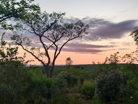 Waterberg Accommodation at Litoro Safari Lodge | Viya