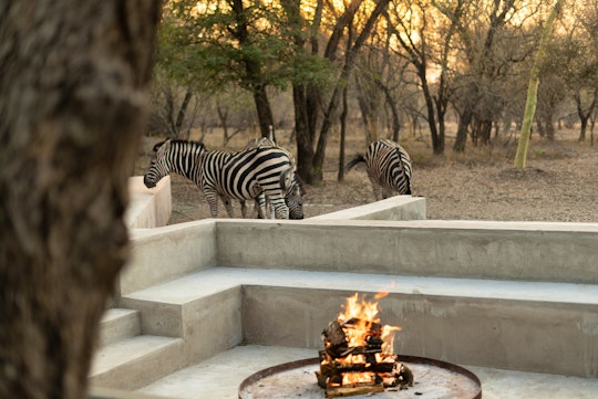 Kruger National Park South Accommodation at  | Viya