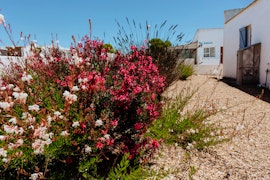 Paternoster Accommodation at Paella | Viya