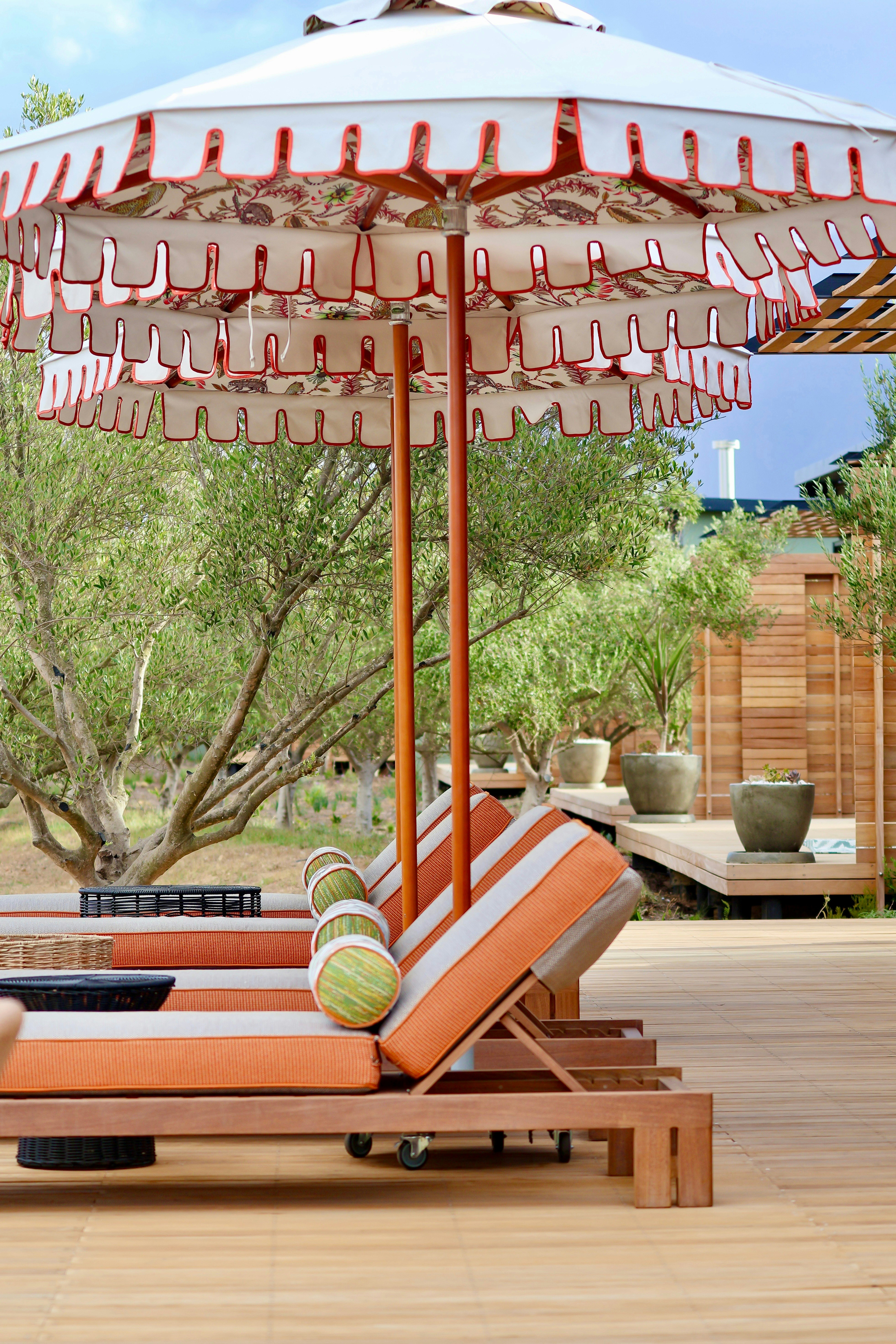 Olijvenkraal Winelands Lodge image no 3 of 15