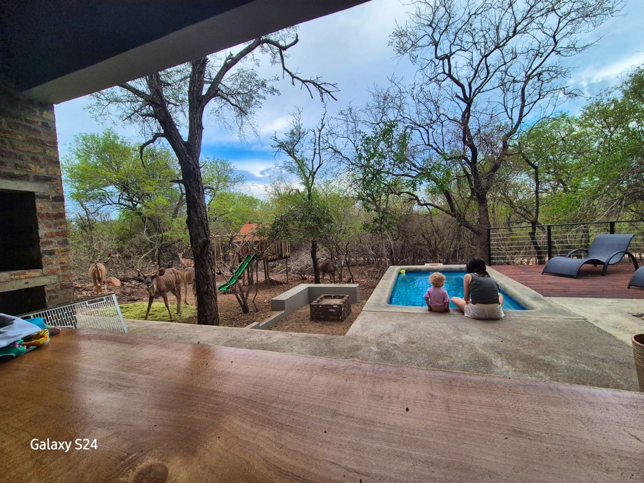 Kruger National Park South Accommodation at  | Viya