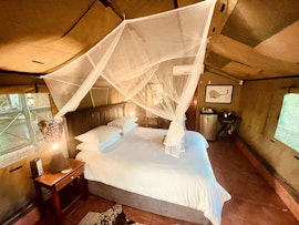 Kruger National Park South Accommodation at  | Viya