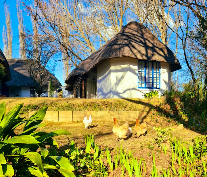KwaZulu-Natal Accommodation at Waterford Manor | Viya