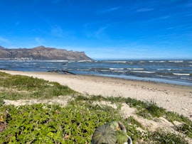 Cape Town Accommodation at Cape Surprise | Viya