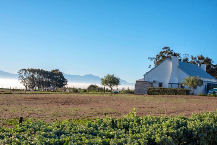 Western Cape Accommodation at Vleidam Guest Farm | Viya