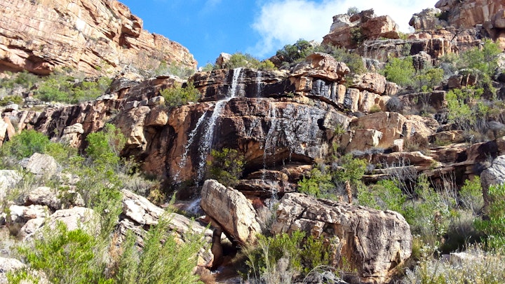 Western Cape Accommodation at Kleinfontein | Viya