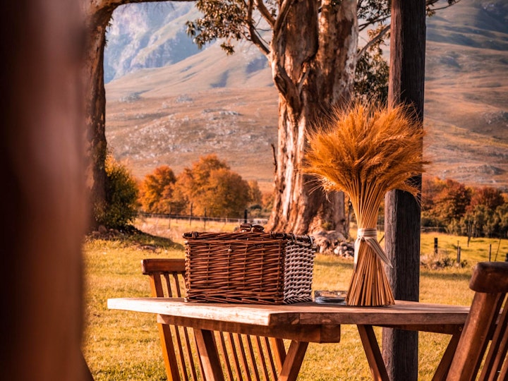 Overberg Accommodation at Bokrivier Cottages | Viya