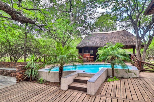 Kruger National Park South Accommodation at  | Viya