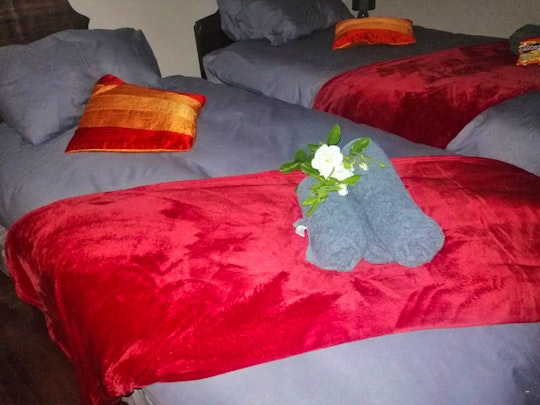 Bloemfontein Accommodation at  | Viya