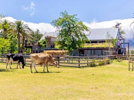 Boland Accommodation at Farm Sanctuary SA | Viya