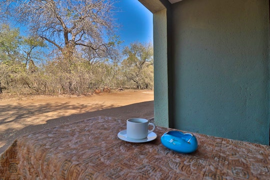 Kruger National Park South Accommodation at  | Viya