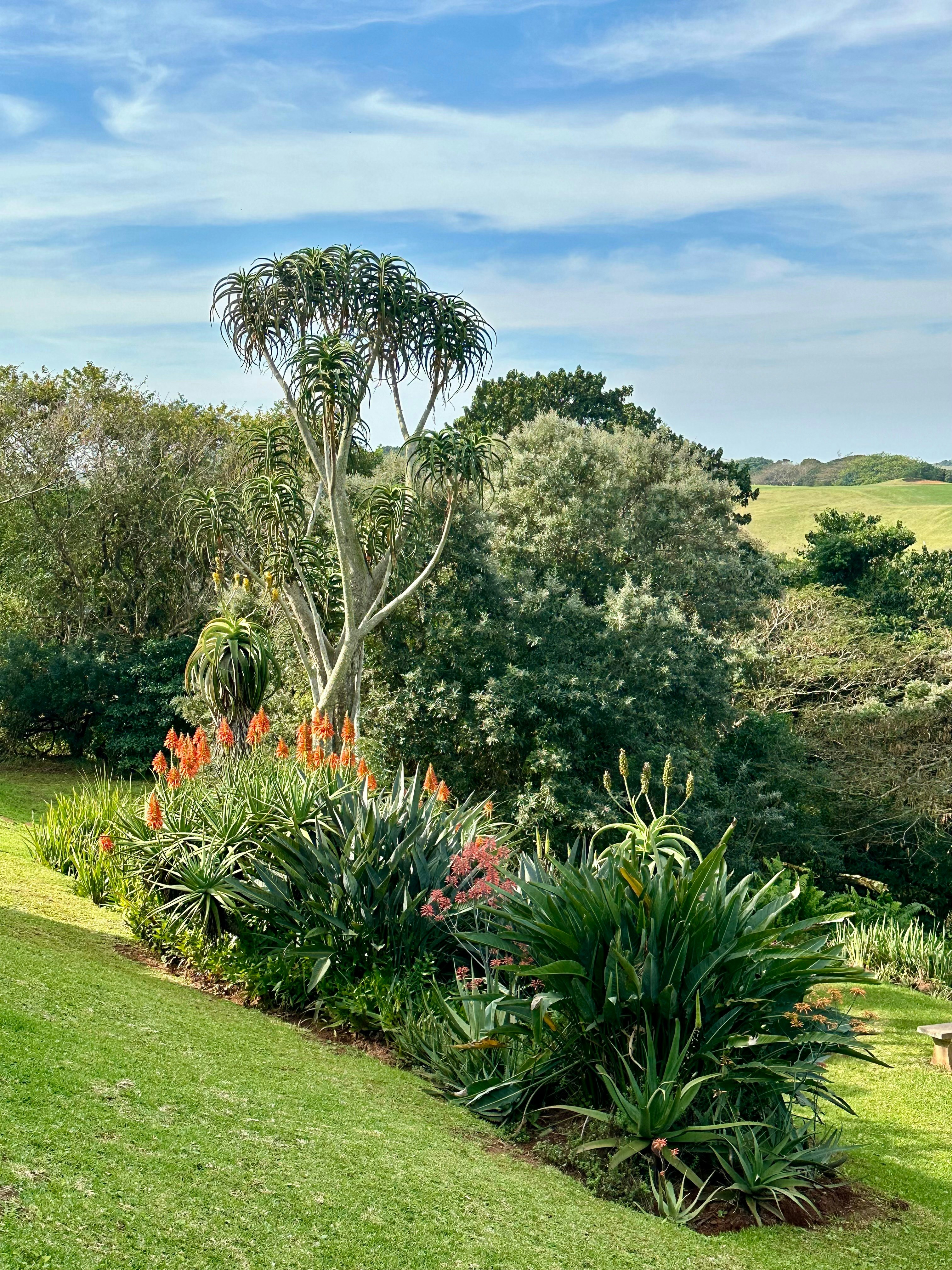 Fairway Views image no 32 of 32