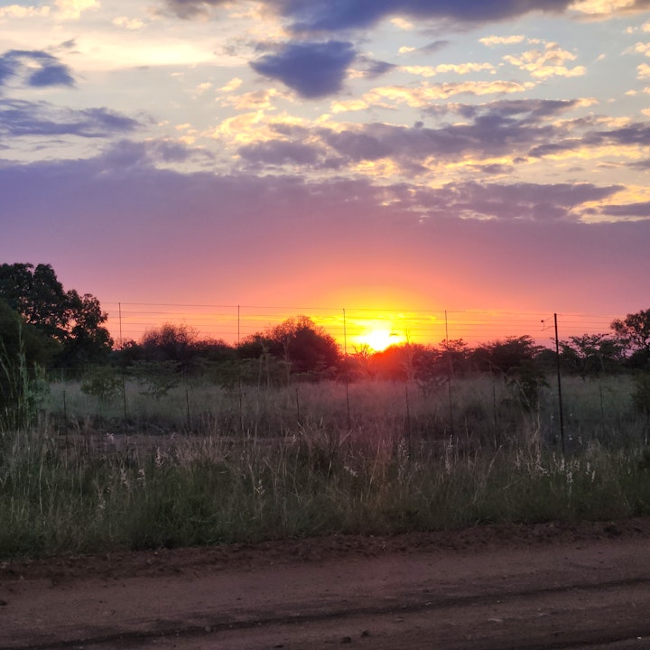 Gauteng Accommodation at Ngiri Safaris | Viya