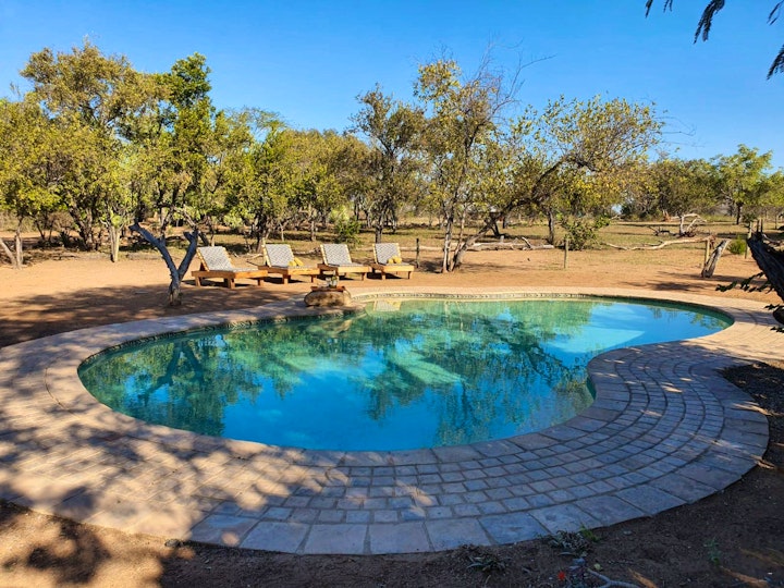 Mpumalanga Accommodation at Masorini Bush Lodge | Viya